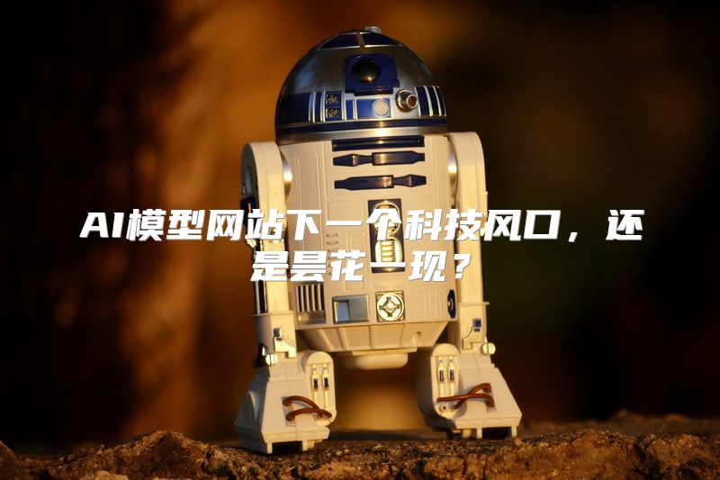 AI模型网站下一个科技风口，还是昙花一现？