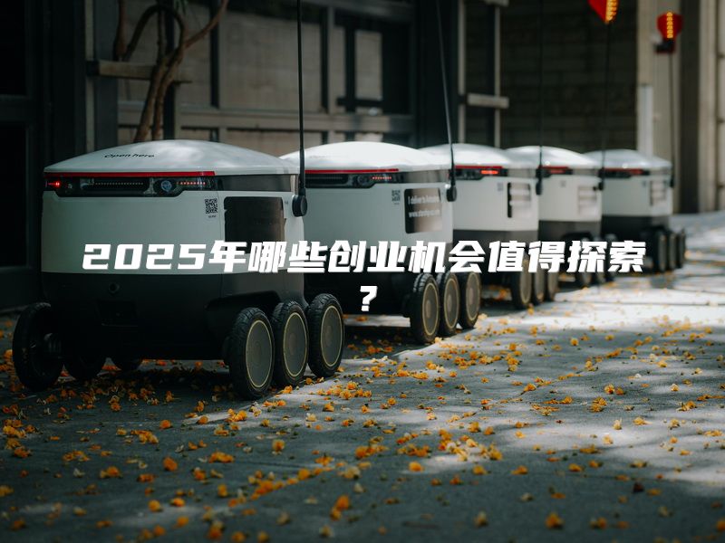 2025年哪些创业机会值得探索？