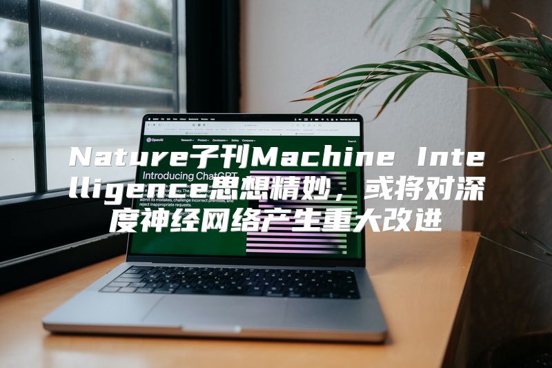 Nature子刊Machine Intelligence思想精妙，或将对深度神经网络产生重大改进