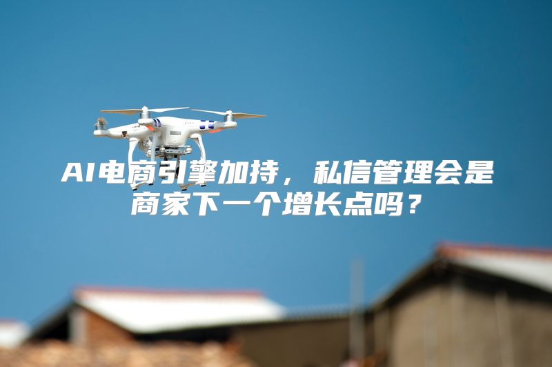AI电商引擎加持，私信管理会是商家下一个增长点吗？