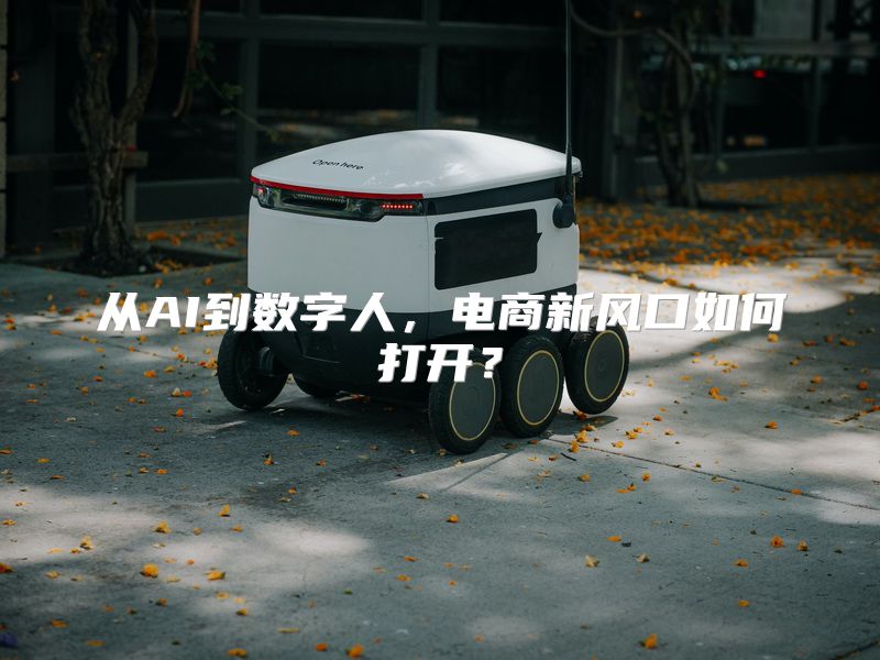 从AI到数字人，电商新风口如何打开？