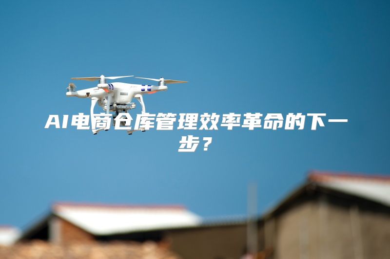 AI电商仓库管理效率革命的下一步？