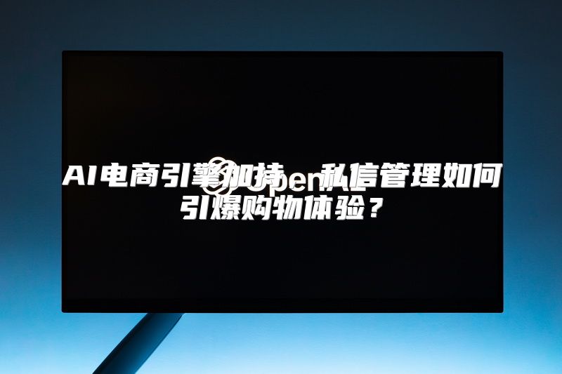 AI电商引擎加持，私信管理如何引爆购物体验？