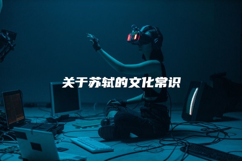 关于苏轼的文化常识