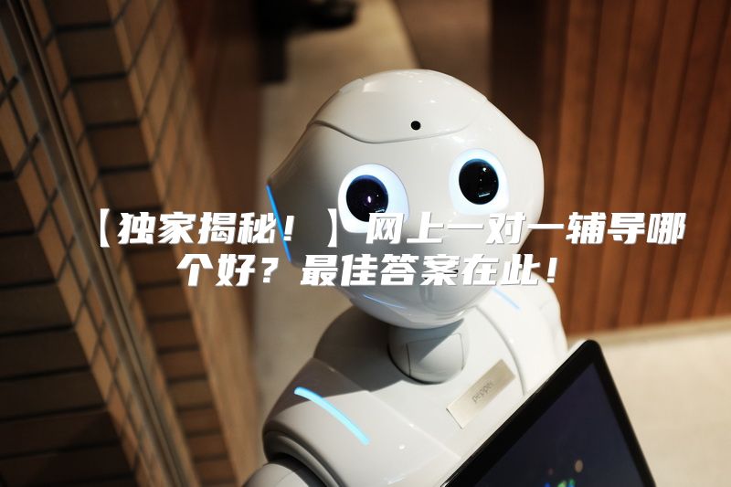 【独家揭秘！】网上一对一辅导哪个好？最佳答案在此！