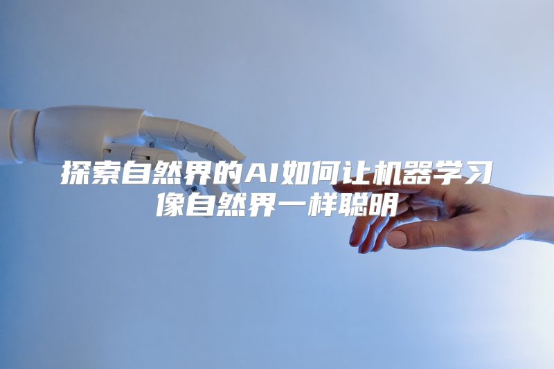 探索自然界的AI如何让机器学习像自然界一样聪明