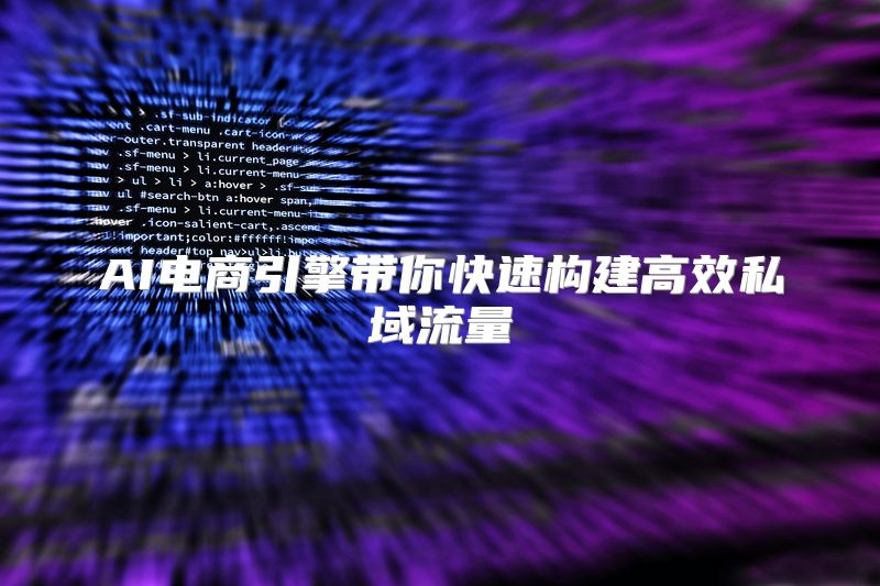 AI电商引擎带你快速构建高效私域流量