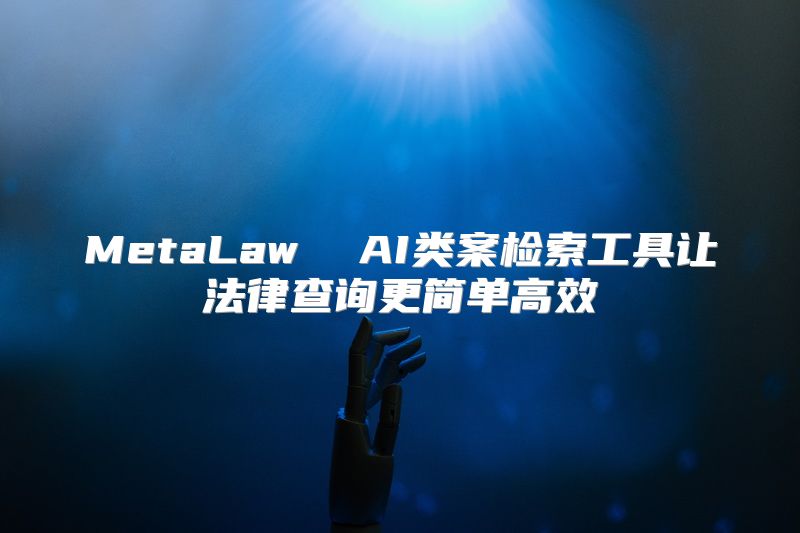 MetaLaw  AI类案检索工具让法律查询更简单高效