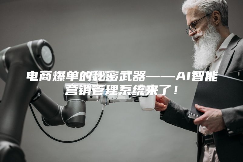 电商爆单的秘密武器——AI智能营销管理系统来了！