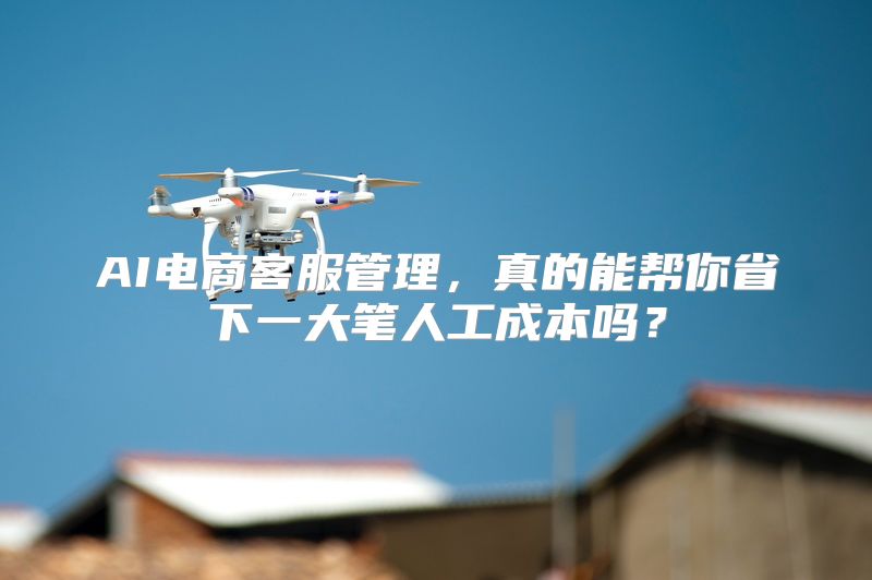 AI电商客服管理，真的能帮你省下一大笔人工成本吗？