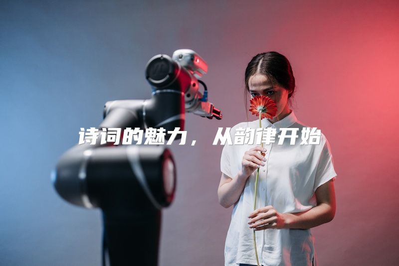 诗词的魅力，从韵律开始
