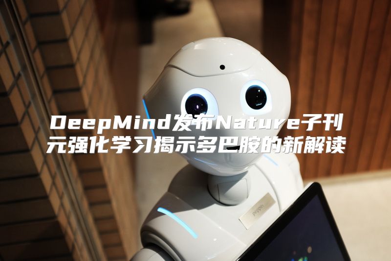 DeepMind发布Nature子刊元强化学习揭示多巴胺的新解读