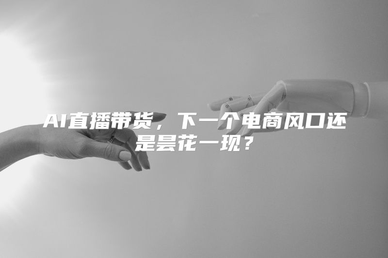 AI直播带货，下一个电商风口还是昙花一现？