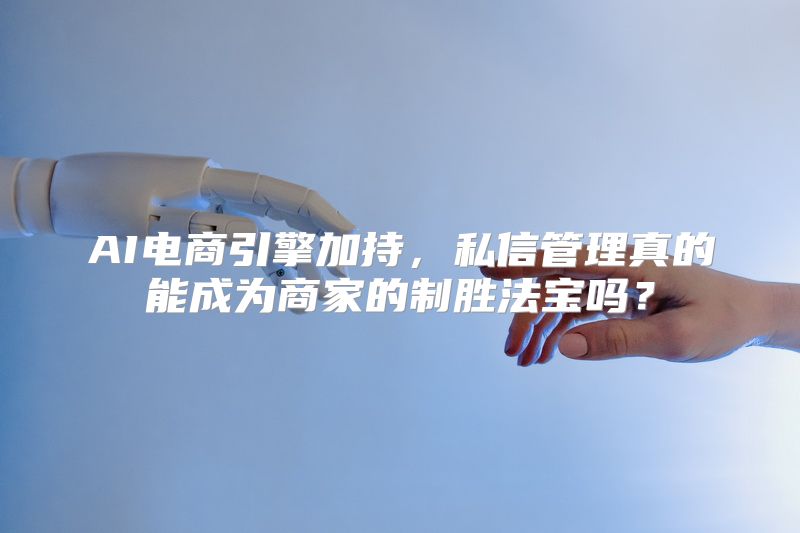 AI电商引擎加持，私信管理真的能成为商家的制胜法宝吗？