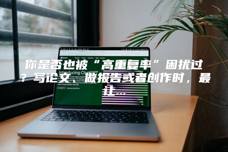 你是否也被“高重复率”困扰过？写论文、做报告或者创作时，最让...