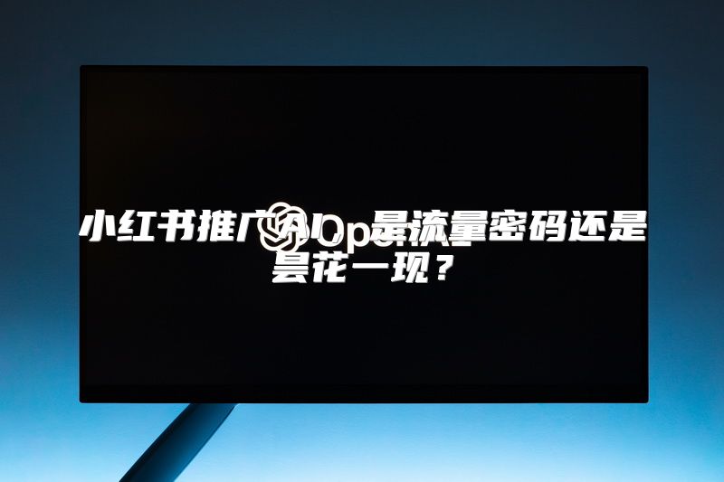 小红书推广AI，是流量密码还是昙花一现？