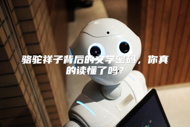 骆驼祥子背后的文学密码，你真的读懂了吗？