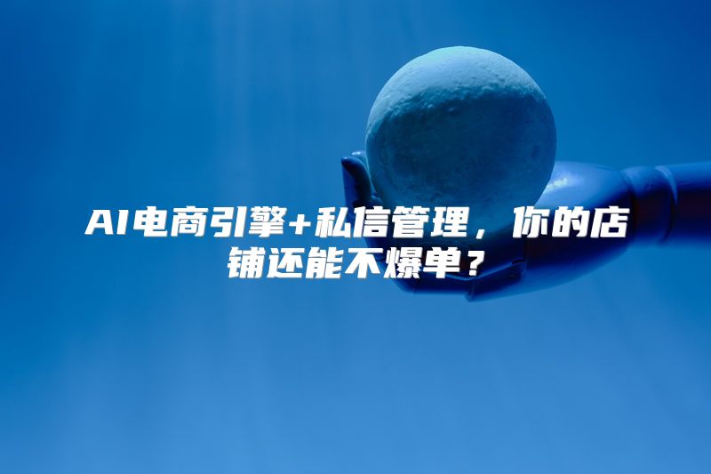 AI电商引擎+私信管理，你的店铺还能不爆单？